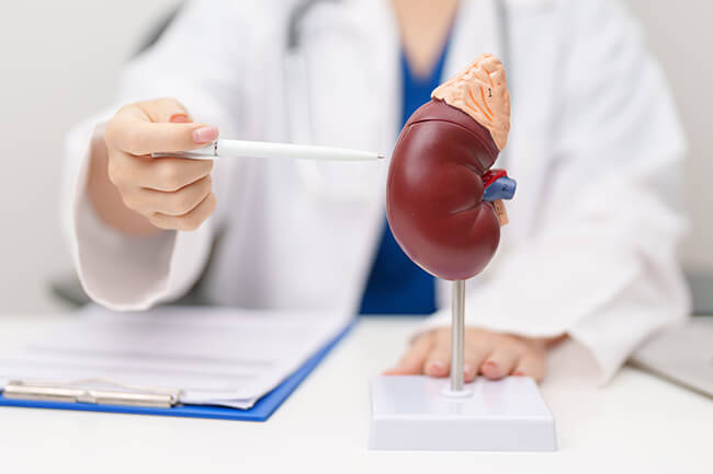 慢性腎臓病について