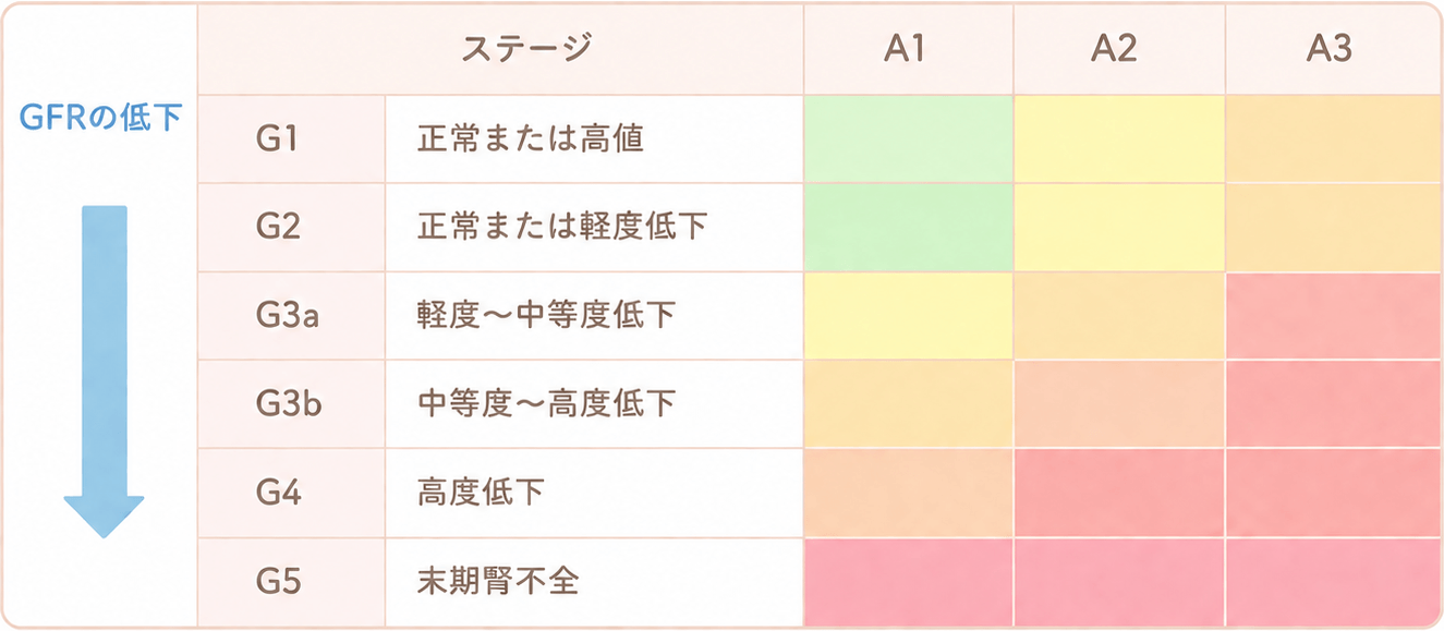 慢性腎臓病の進行具合